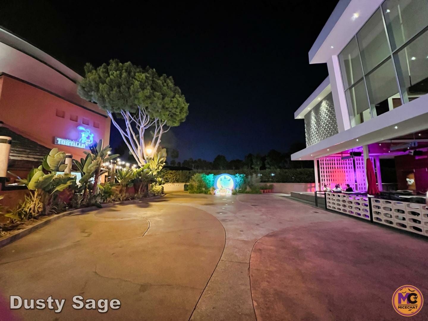 , Disneyland Update: Fall-ing, Scale-ing, Plans Derailing