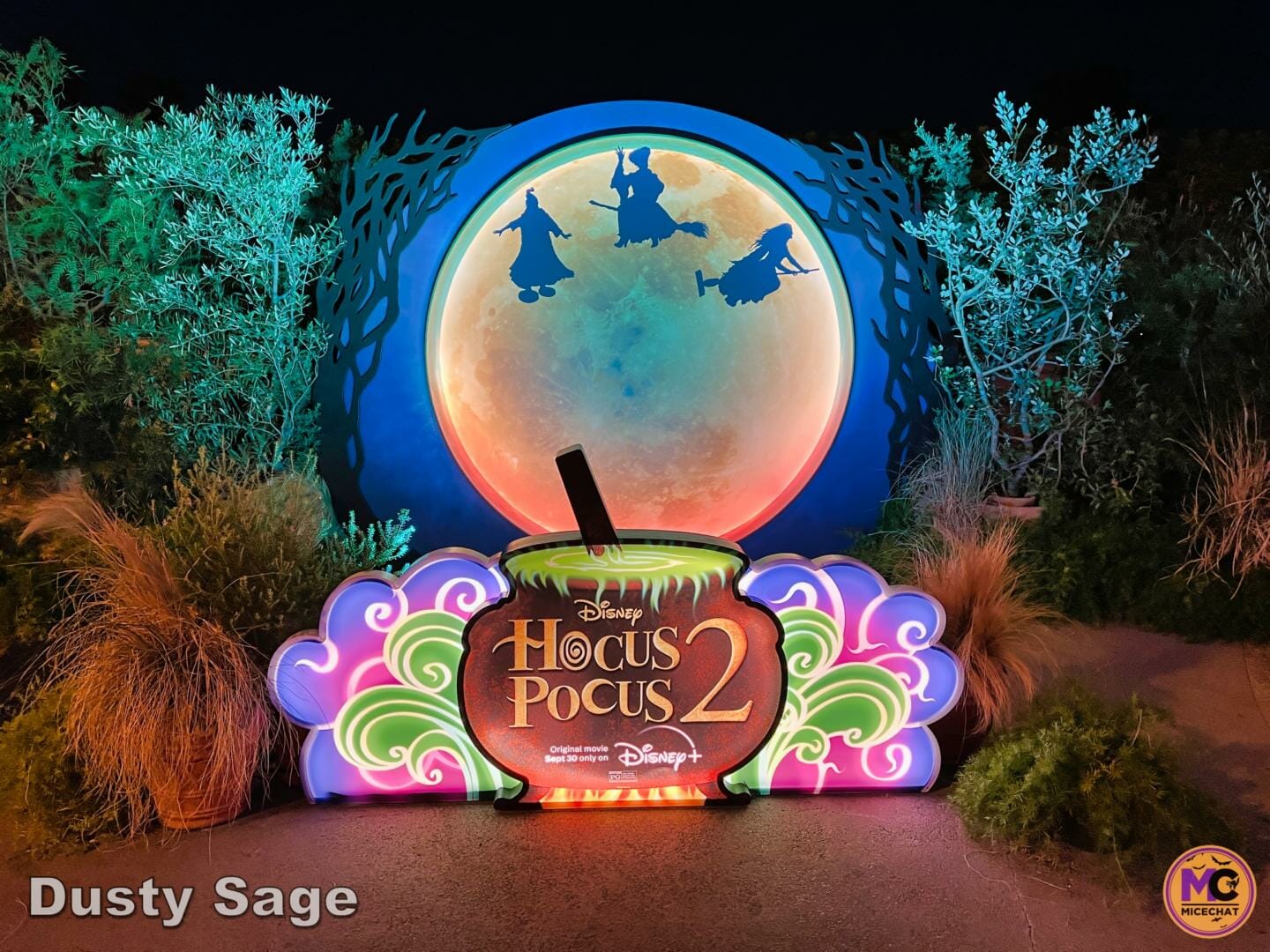 , Disneyland Update: Fall-ing, Scale-ing, Plans Derailing