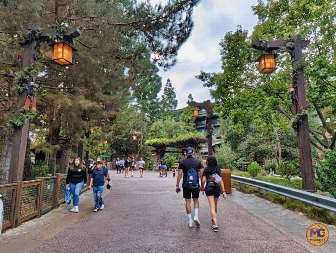 , Disneyland Update – Theme Park Magic Comes at a Price…