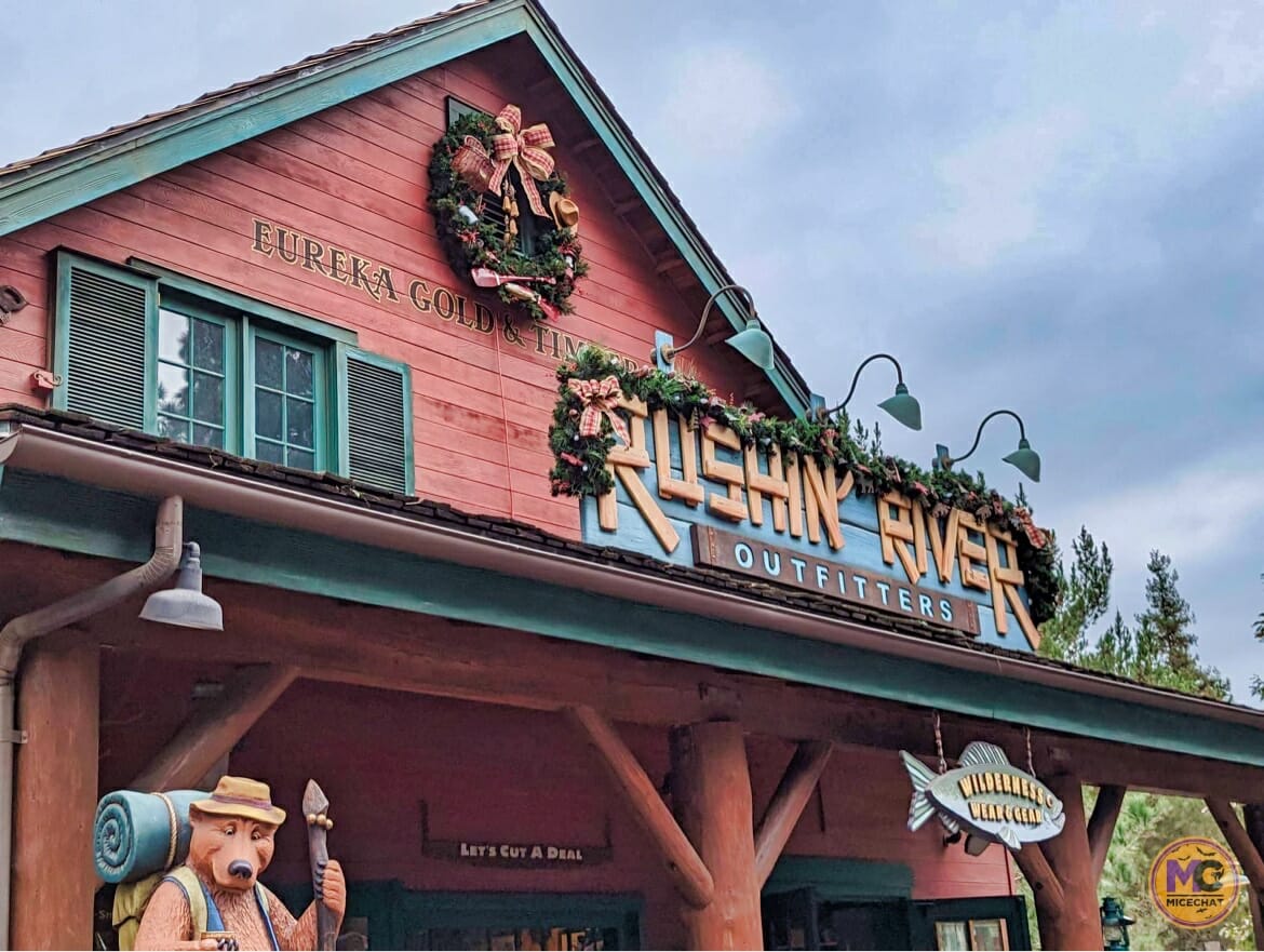 , Disneyland Update – Theme Park Magic Comes at a Price…