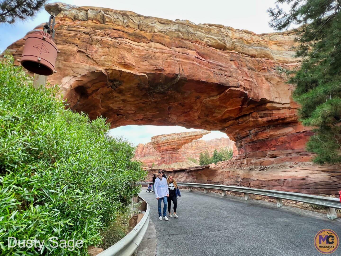 , Disneyland Update – Theme Park Magic Comes at a Price…