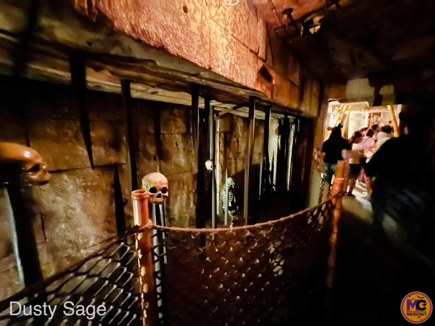 , Disneyland Update – The Return of the Disneyland Blues