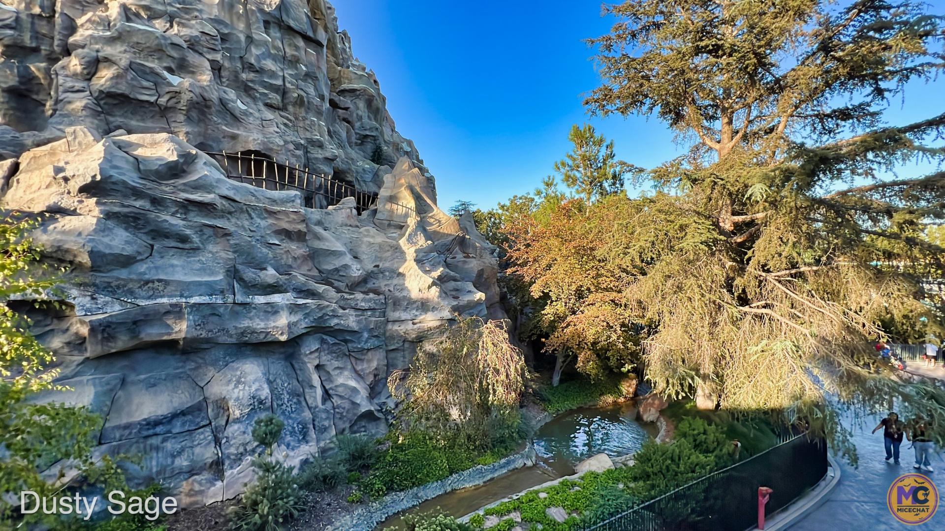 , Disneyland Update – The Return of the Disneyland Blues