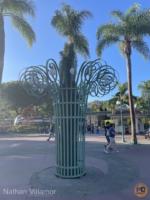 Disneyland Downtown Disney Esplanade tree cage replanted MiceChat