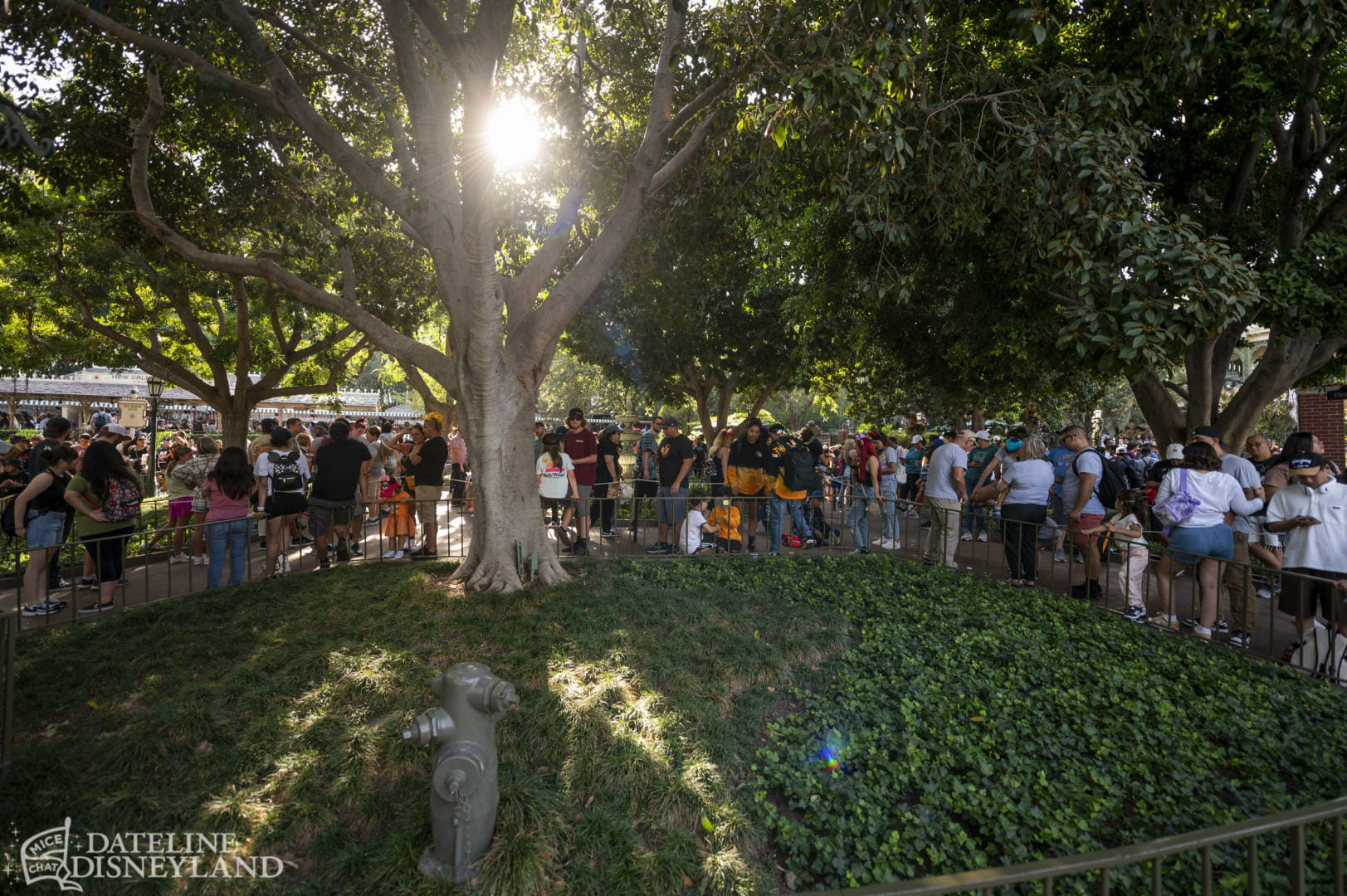 Disneyland News, Dateline Disneyland: Paying More For A Mess, More Or Less!