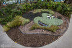 Disneyland Hotel Frontier Tower Davy Crockett floral Mickey Mouse DSC_1205-X5