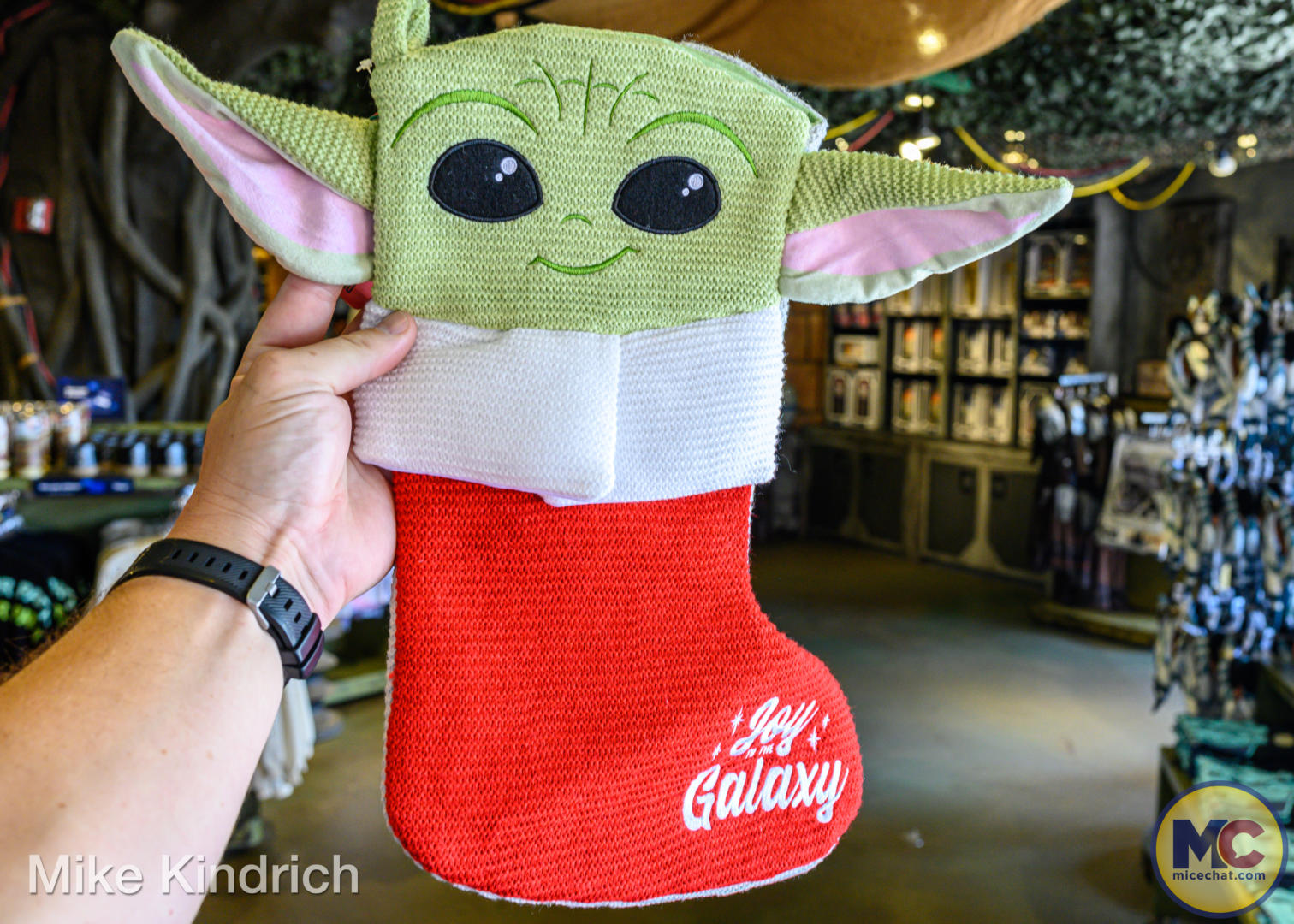 Disneyland holiday 2022 merchandise, UPDATED! Disneyland Holiday Merchandise Guide 2022