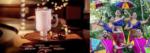 Disneyland holidays 2022 hotel coffeehouse diwali archisa tea blue13 dance.jpg