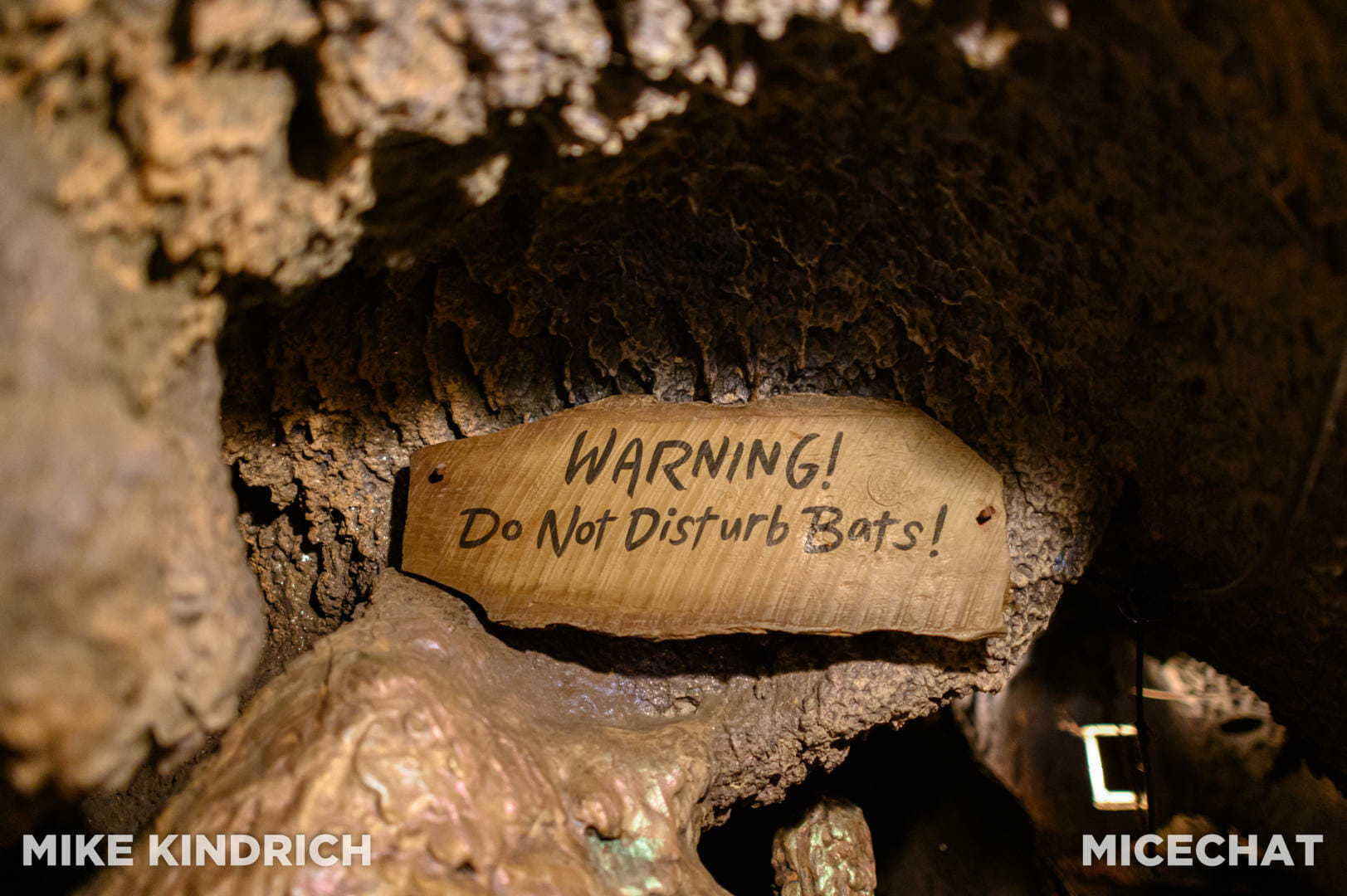 Indiana Jones Adventure, Disneyland’s Indiana Jones Adventure Returns With Refreshed Thrills!