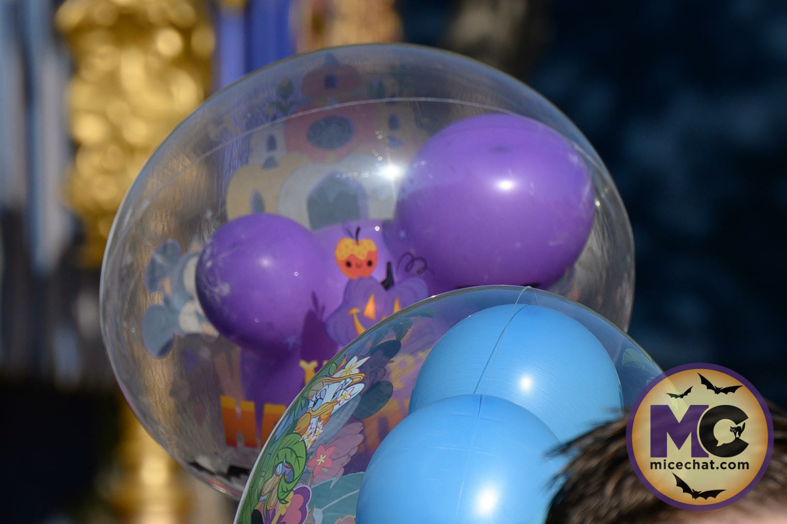 , Disneyland Update – Crowd Flux, Holidays Collide & Blues Too!