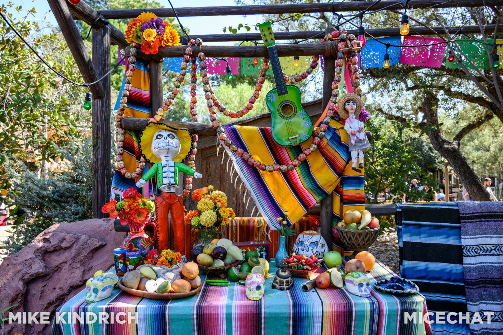 Disneyland Dia de los Muertos