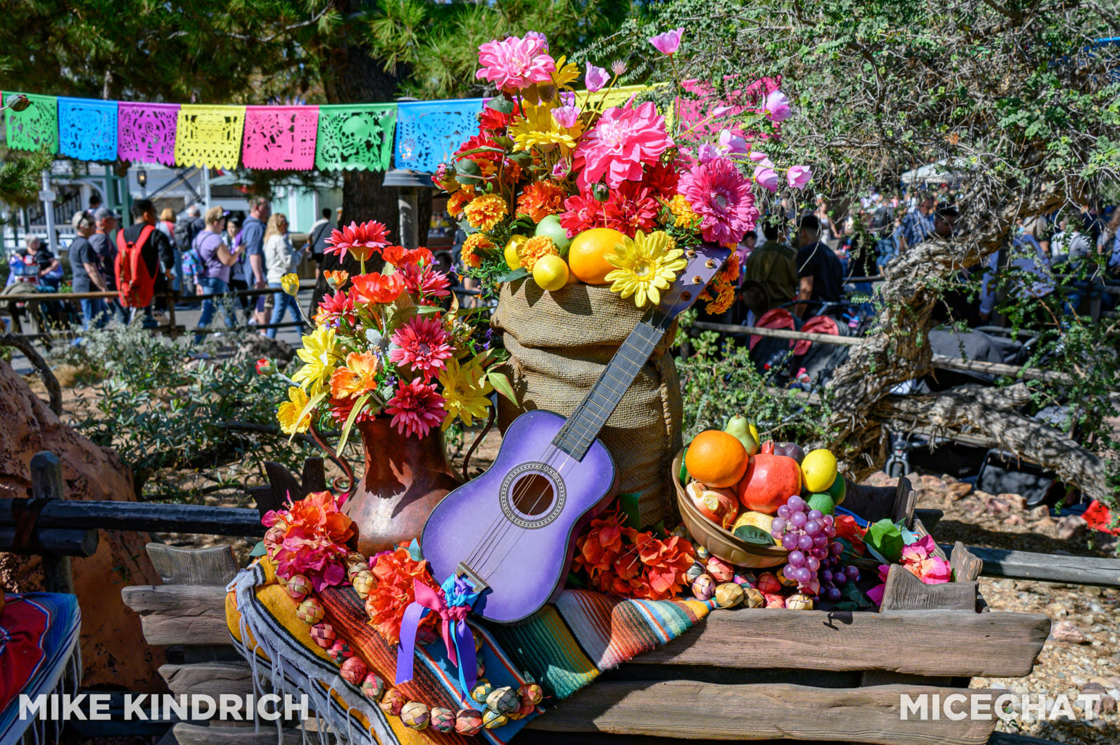 Disneyland Dia de los Muertos