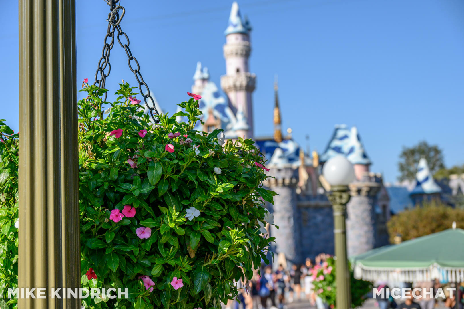 , Disneyland Update – Crowd Flux, Holidays Collide & Blues Too!