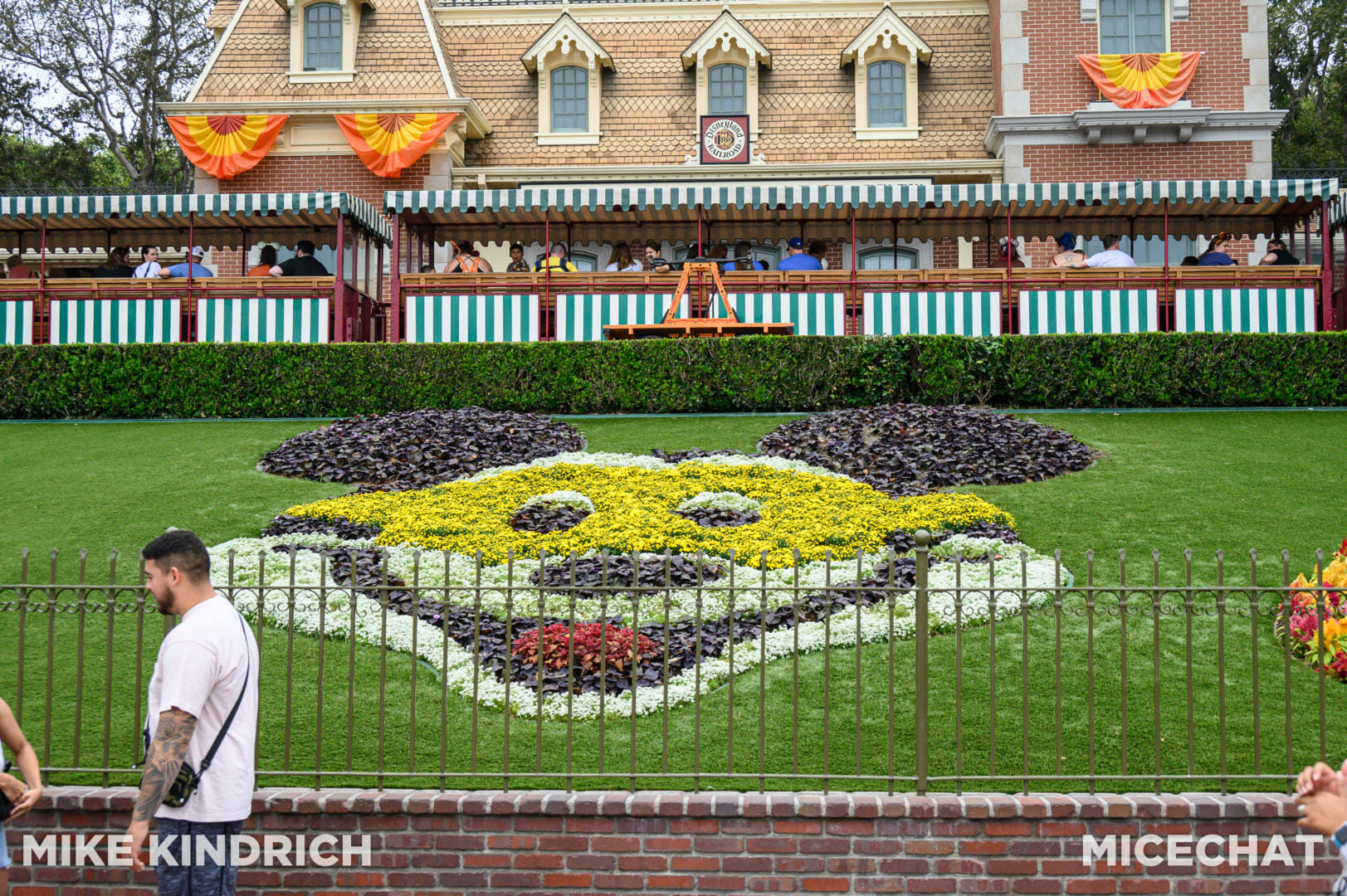, Disneyland Update – Theme Park Magic Comes at a Price…