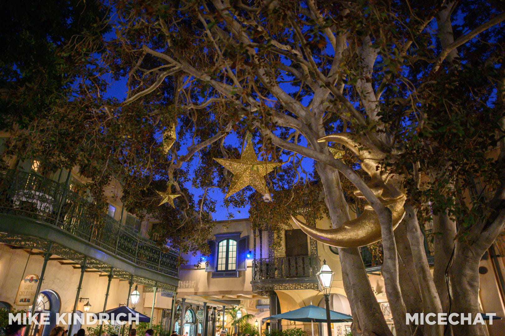 , Disneyland Update – Crowd Flux, Holidays Collide & Blues Too!