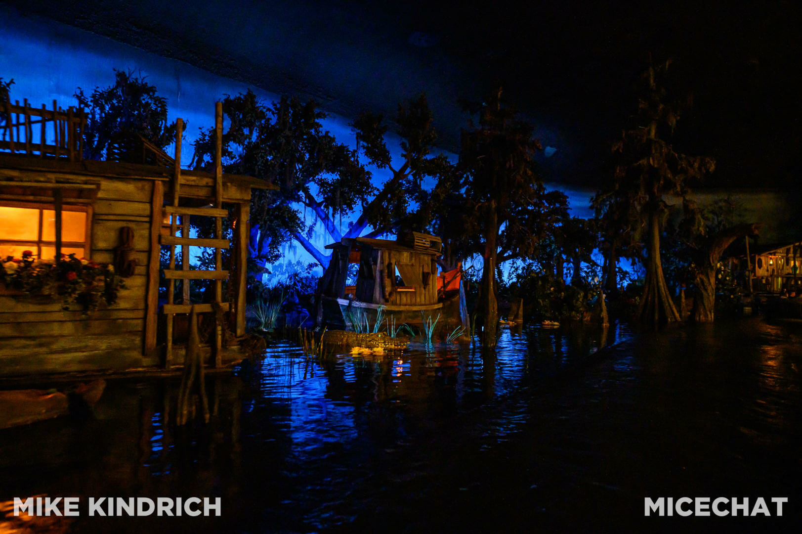 , Disneyland Update – Crowd Flux, Holidays Collide & Blues Too!