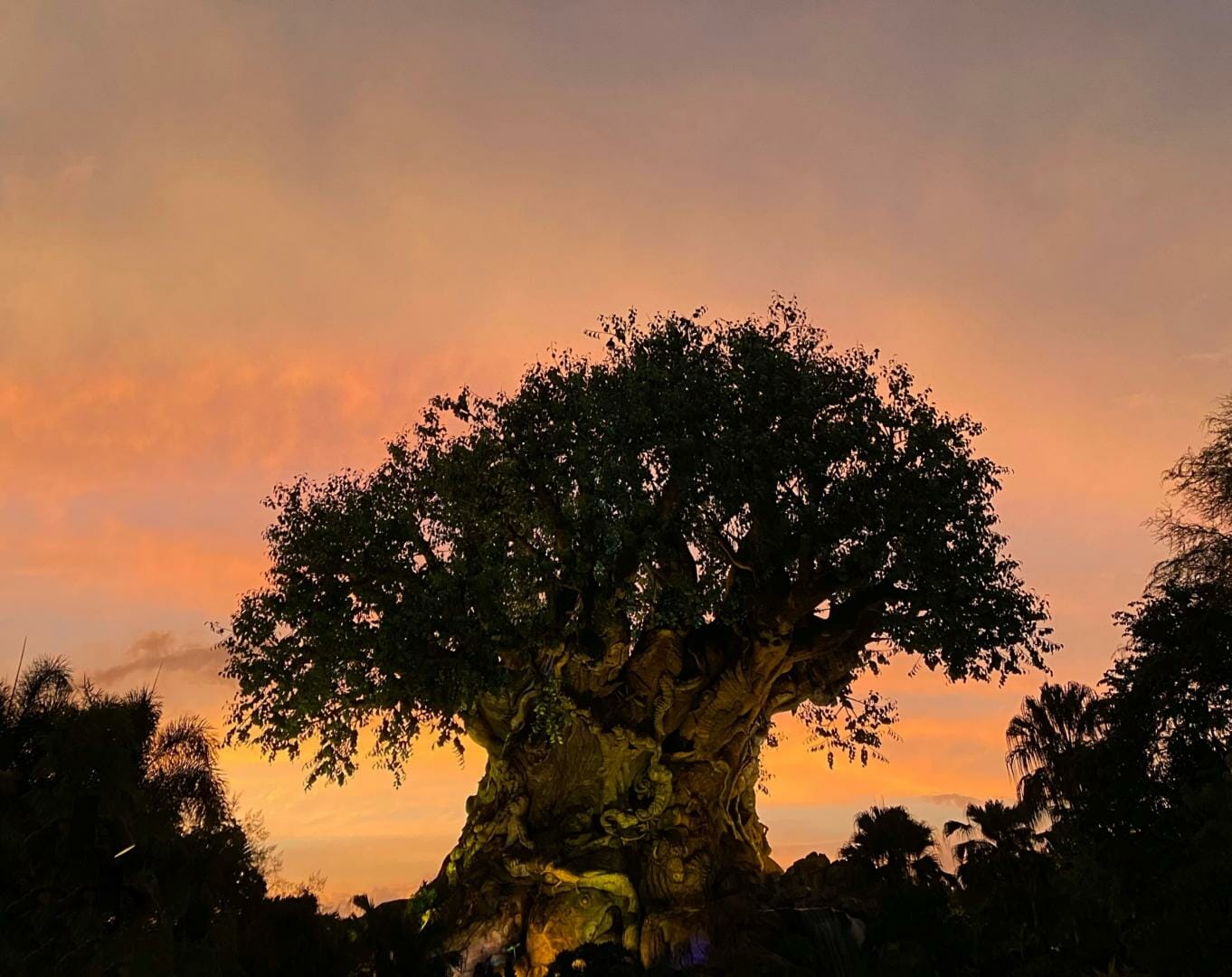 , WDW NEWS: Drone Show, Encanto Sing-Along, & Lion King News!