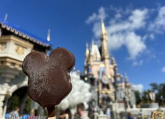 Walt Disney World Update – Flying, Zooming & Rolling Along