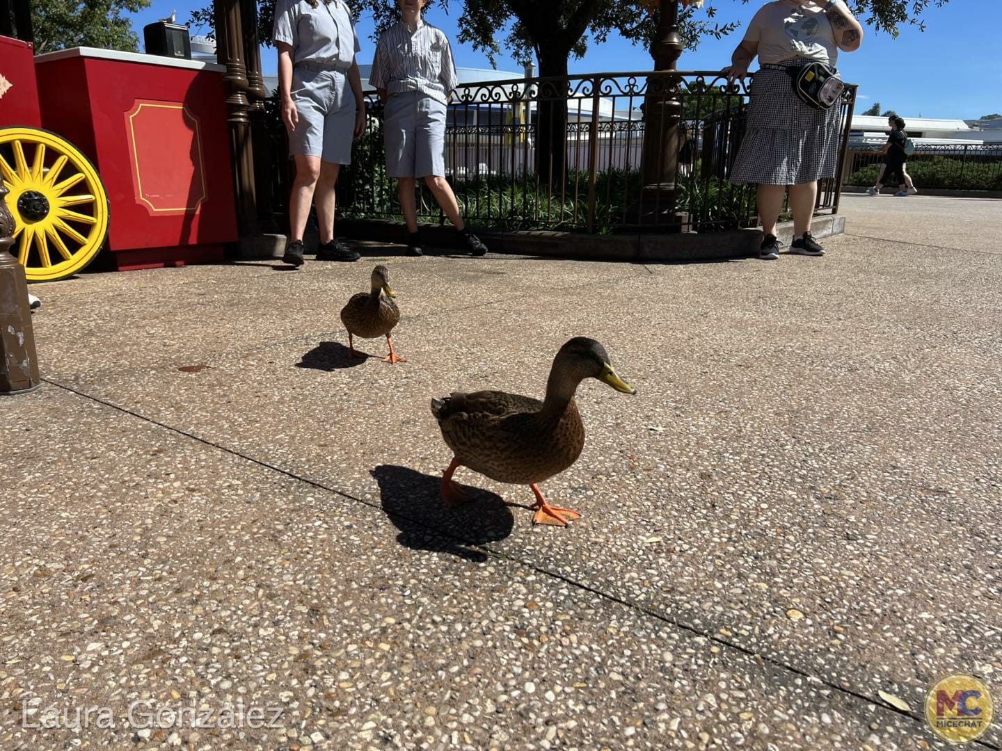 , Walt Disney World Update: Parks Reopen Just In Time For EPCOT’s 40th Celebration