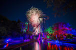busch gardens tamppa christmas town fireworks