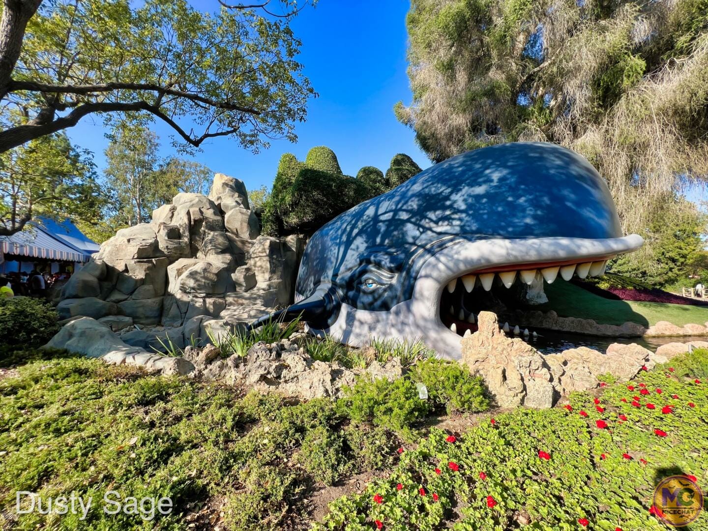 , Disneyland Update – Crowd Flux, Holidays Collide & Blues Too!