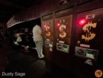 disneyland-Beauty frontierland shooting arcade out of order-MiceChat