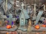 disneyland-Disneyland beauty zero display-MiceChat