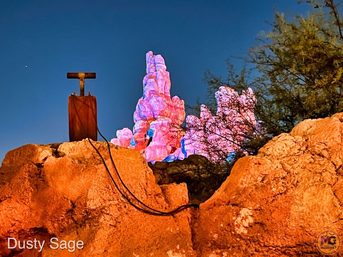 , Disneyland Update – Crowd Flux, Holidays Collide & Blues Too!