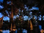 disneyland-beauty pirates of the caribbean bayou night 2-MiceChat