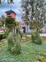 disneyland beauty swans castle-MiceChat