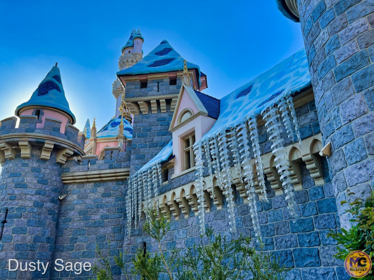 , Disneyland Update – Crowd Flux, Holidays Collide & Blues Too!