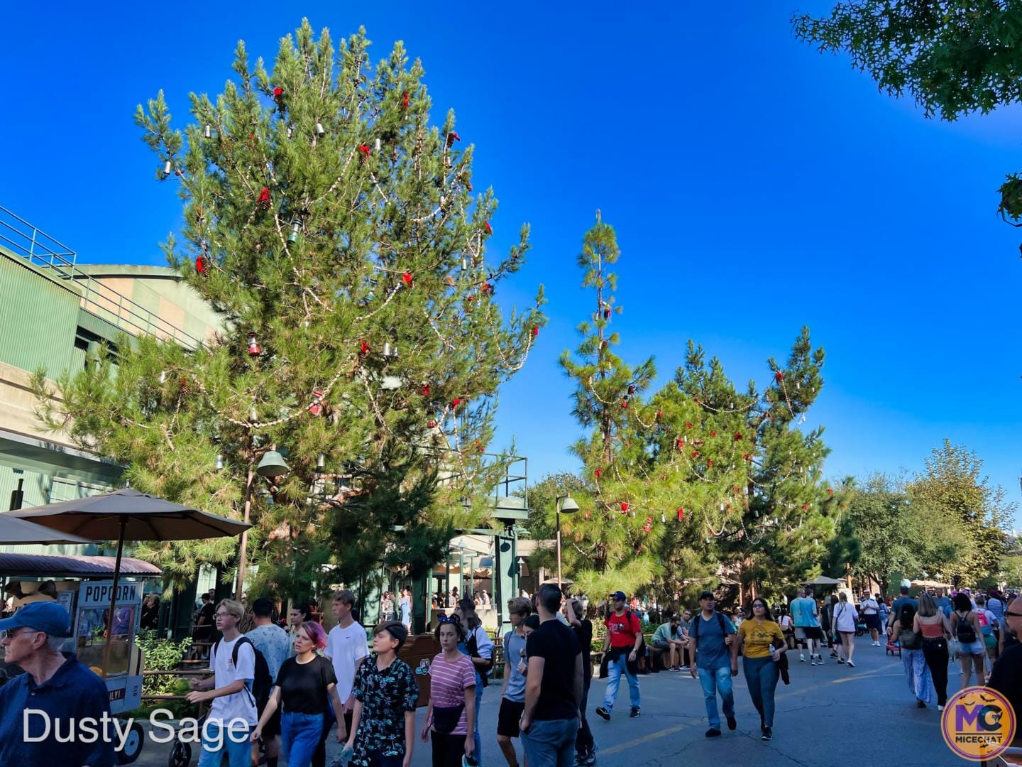 , Disneyland Update &#8211; Crowd Flux, Holidays Collide &#038; Blues Too!