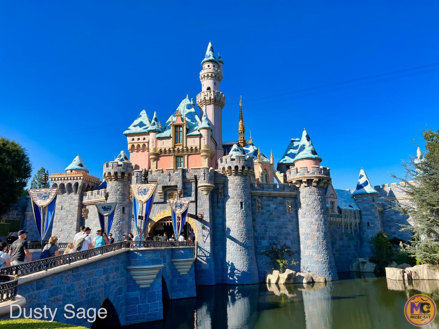 , Disneyland Update – Crowd Flux, Holidays Collide & Blues Too!