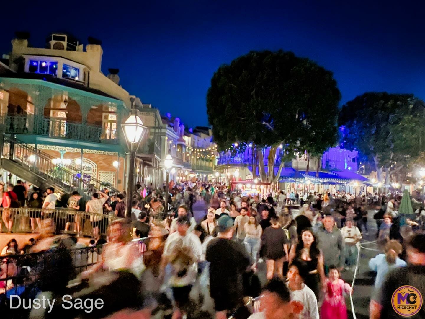 , Disneyland Update &#8211; Crowd Flux, Holidays Collide &#038; Blues Too!