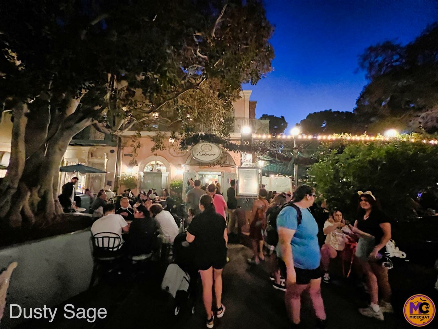 , Disneyland Update &#8211; Crowd Flux, Holidays Collide &#038; Blues Too!