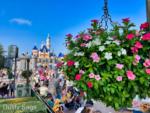 disneyland halloween hub cheerful baskets-MiceChat