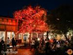 disneyland-halloween tree frontierland-MiceChat