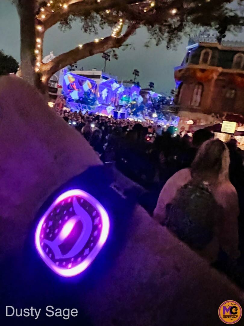 , Disneyland Update &#8211; Crowd Flux, Holidays Collide &#038; Blues Too!
