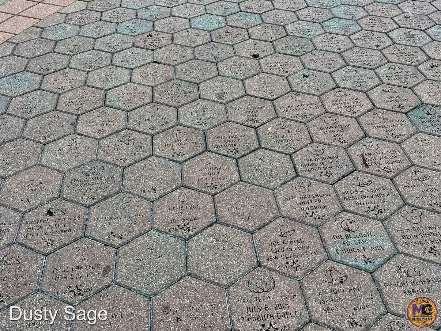 , Disneyland Update – Theme Park Magic Comes at a Price…