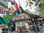 disneyland matterhorn entry flags-MiceChat