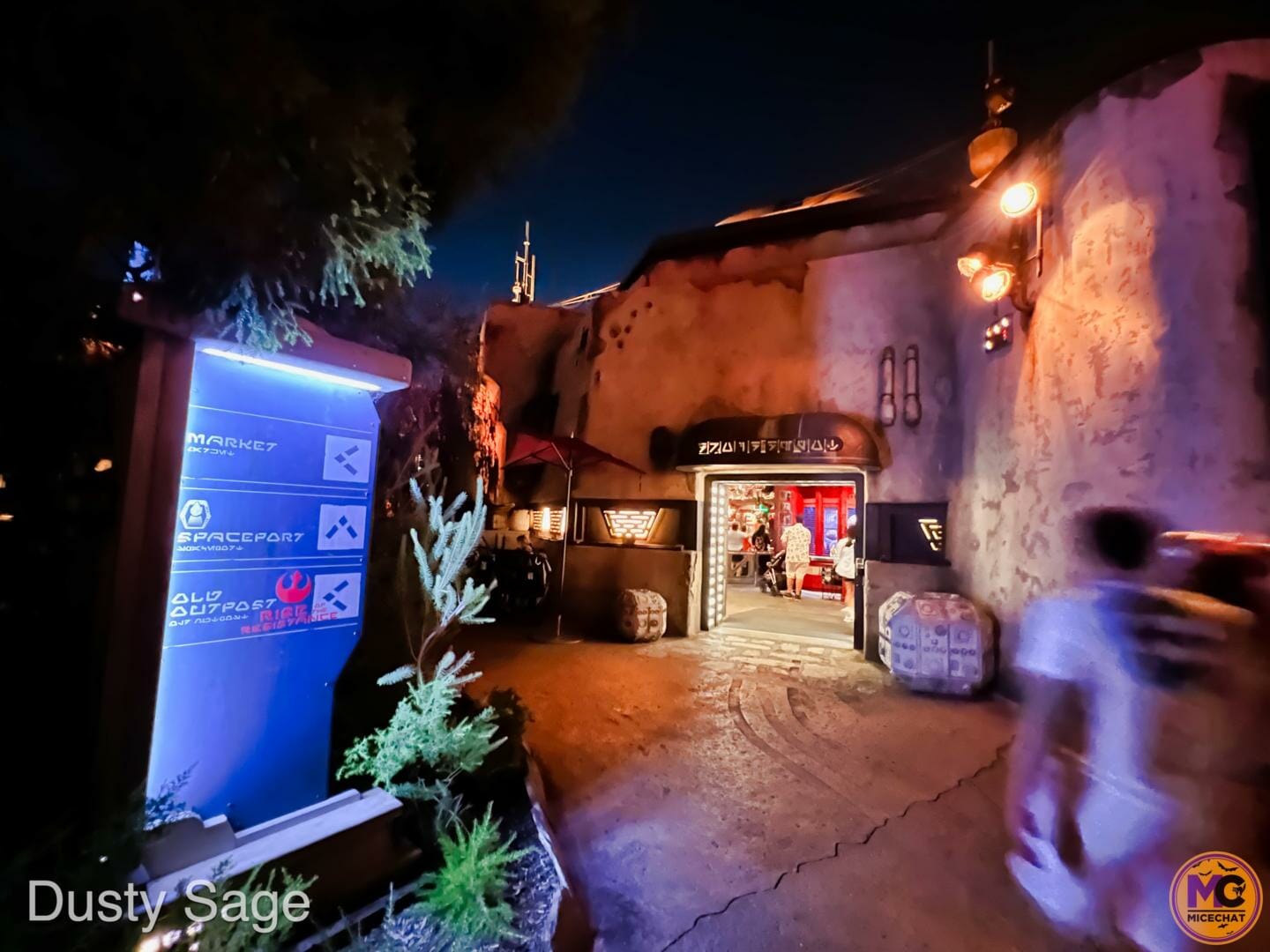 , Disneyland Update – Crowd Flux, Holidays Collide & Blues Too!