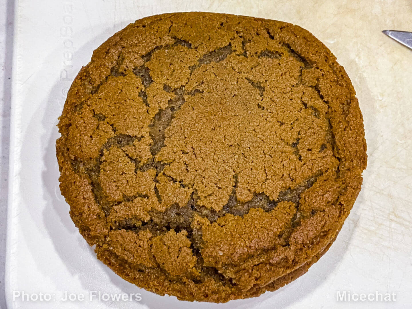 , Making Epcot’s Karamell-K&uuml;che Gingerbread Salted Caramel Buttercream Cookies at home!