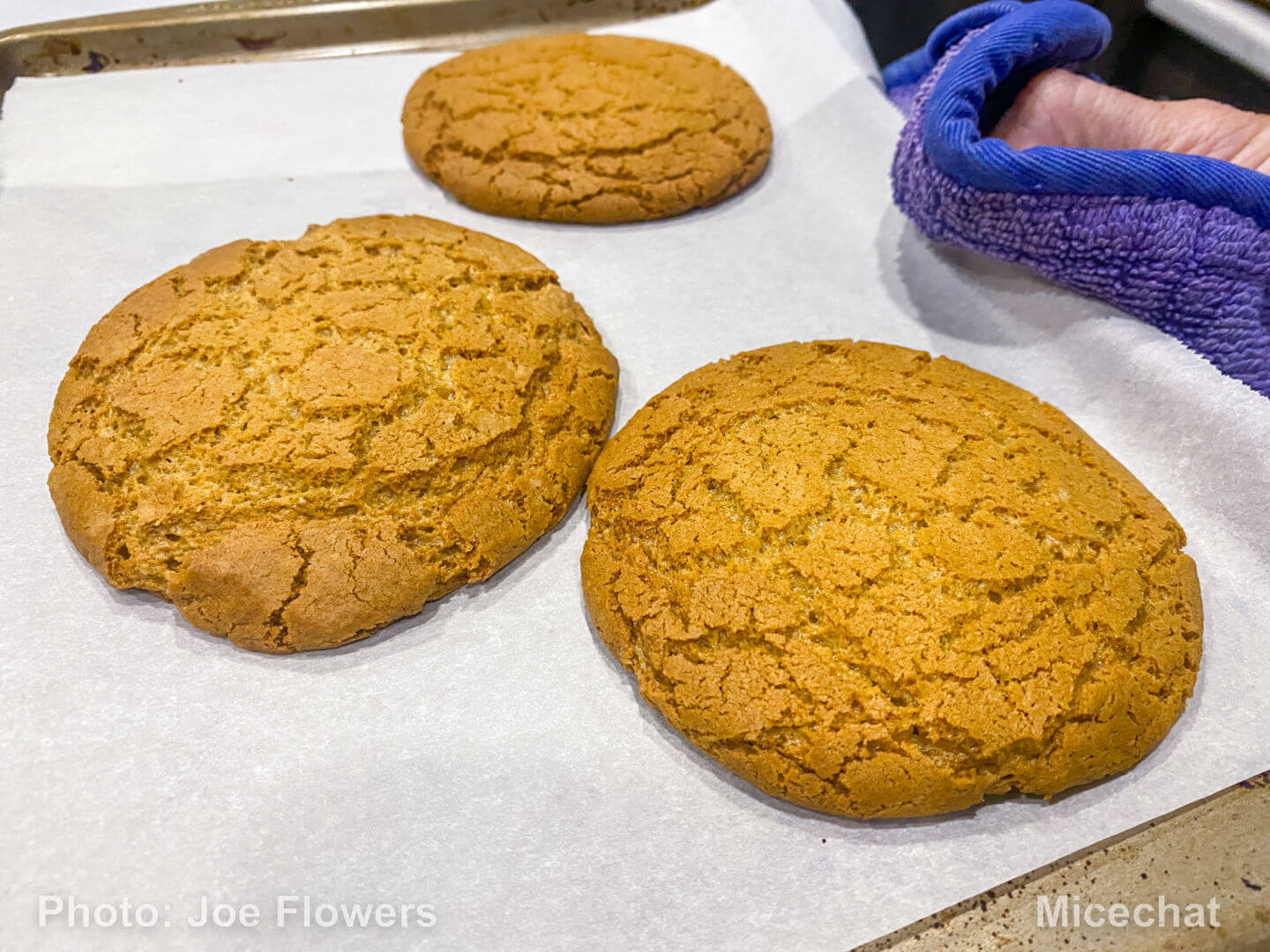 , Making Epcot’s Karamell-K&uuml;che Gingerbread Salted Caramel Buttercream Cookies at home!