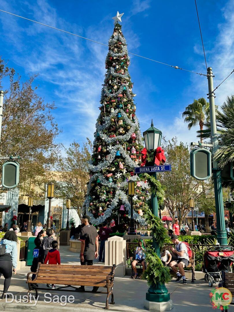 , Disneyland Update – A Storm is Brewing