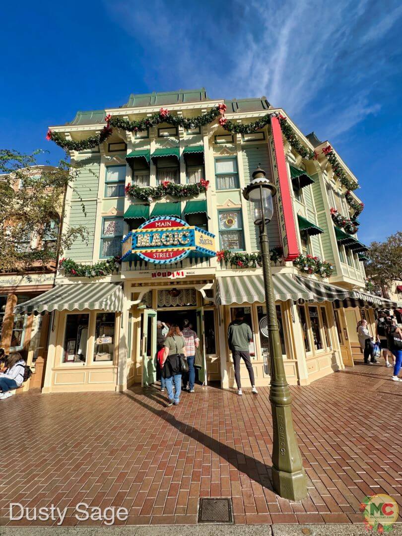 , Disneyland Update – A Storm is Brewing