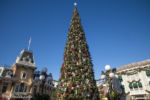 Disneyland Christmas Tree Main Street USA holidays DSC_5460-X5