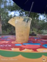 Disneyland DCA festival of holidays 2022 grandma’s recipes hummingbird cocktail MiceChat