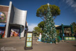 Disneyland Downtown Disney holiday Christmas trees decorations DSC_4724-X5