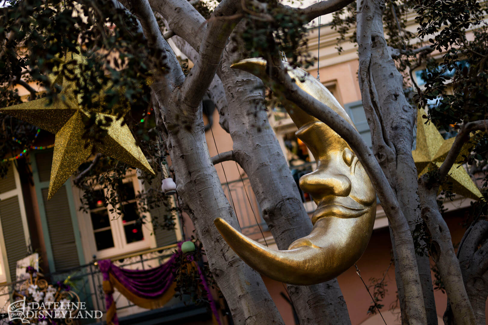 Disney CEO, Disneyland Update: The Return of the King and the Cursed Keys!