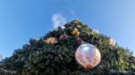 Disneyland Paris welcome DLPwelcome christmas 2022 christmas tree MiceChat